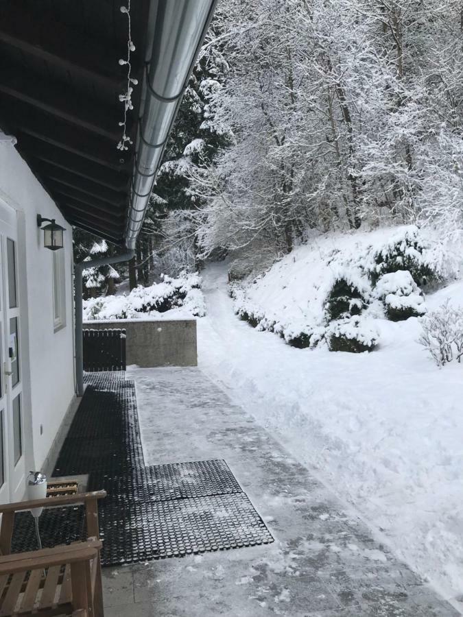Apartment Gisi 因斯布鲁克 外观 照片