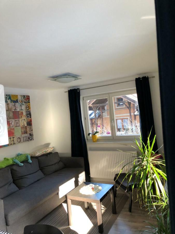 Apartment Gisi 因斯布鲁克 外观 照片